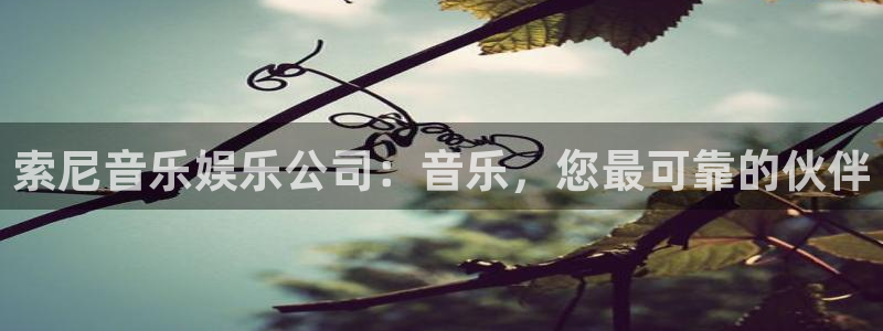 壹号电子娱乐app下载：索尼音乐娱乐公司：音乐，您最可靠的伙伴