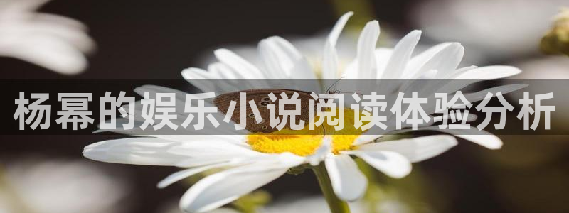 壹号平台app下载安装：杨幂的娱乐小说阅读体验分析