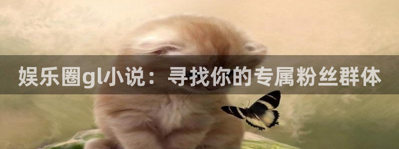 焦点娱乐可靠吗：娱乐圈gl小说：寻找你的专属粉丝群体
