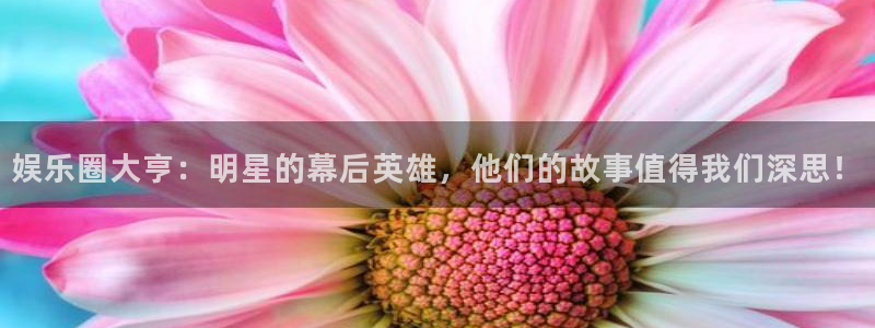 焦点娱乐app下载官网：娱乐圈大亨：明星的幕后英雄，他们的故事值得我们深思！