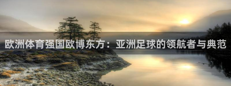 焦点娱乐官网版：欧洲体育强国欧博东方：亚洲足球的领航者与典范