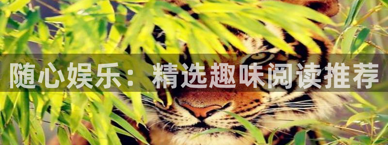 焦点娱乐平台：随心娱乐：精选趣味阅读推荐