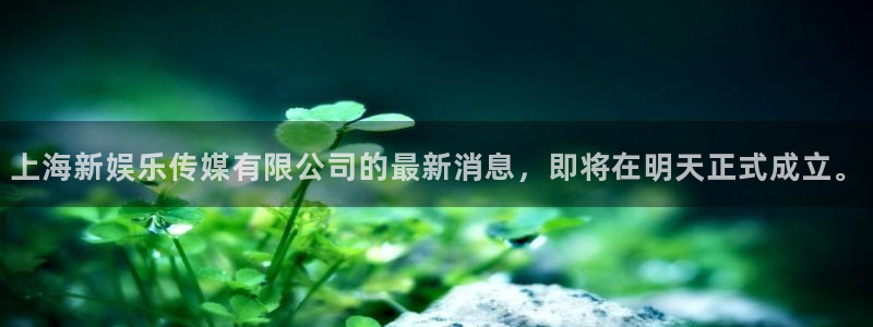 焦点娱乐注册网页版：上海新娱乐传媒有限公司的最新消息，即将在明天正式成立。
