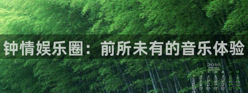 焦点娱乐app：钟情娱乐圈：前所未有的音乐体验