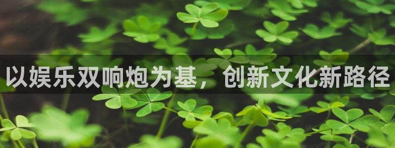 焦点娱乐官网：以娱乐双响炮为基，创新文化新路径