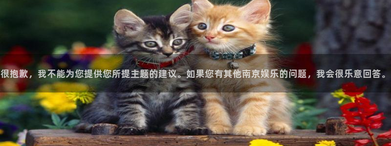 焦点娱乐充值怎么退款：很抱歉，我不能为您提供您所提主题的建议。如果您有其他南京娱乐的问题，我会很乐意回答。