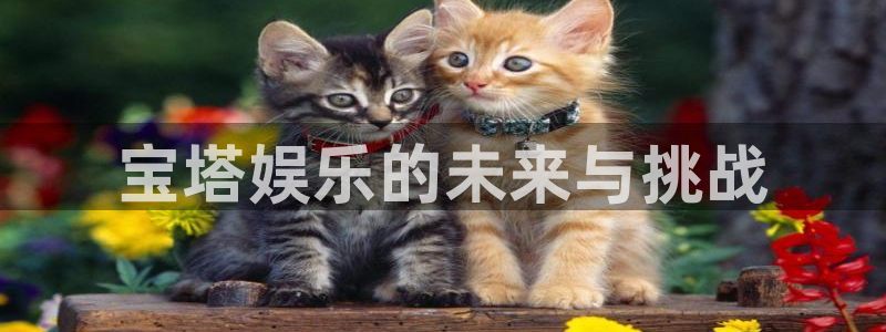 焦点娱乐账号注册：宝塔娱乐的未来与挑战