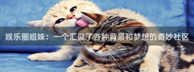 壹号大舞台,有梦你就来：娱乐圈姐妹：一个汇聚了各种背景和梦想的奇妙社区