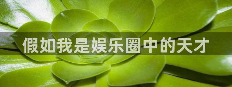 焦点娱乐赏金女王：假如我是娱乐圈中的天才