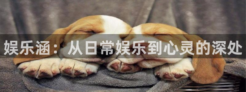 焦点娱乐官方app下载安装：娱乐涵：从日常娱乐到心灵的深处