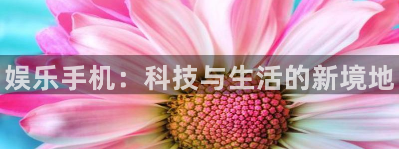 焦点娱乐软件：娱乐手机：科技与生活的新境地