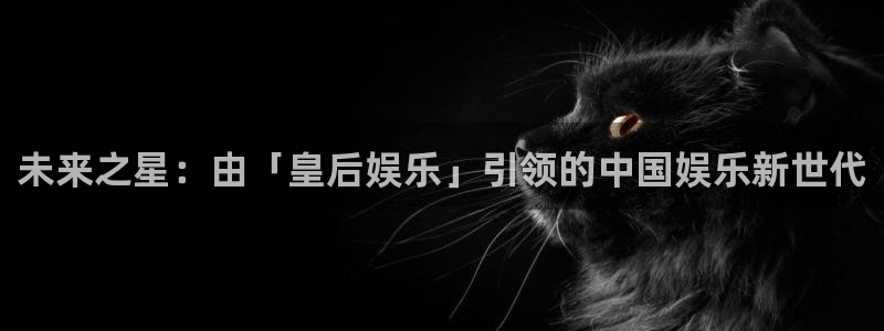 电子游戏焦点娱乐：未来之星：由「皇后娱乐」引领的中国娱乐新世代