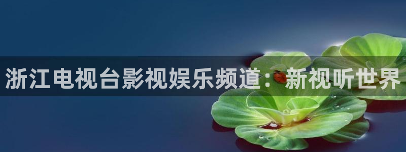 焦点娱乐加拿大下载：浙江电视台影视娱乐频道：新视听世界