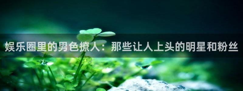焦点娱乐app下载安装：娱乐圈里的男色撩人：那些让人上头的明星和粉丝