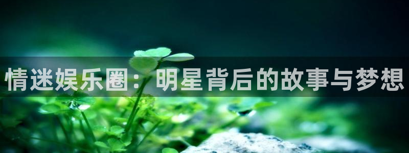 焦点娱乐,apk.1：情迷娱乐圈：明星背后的故事与梦想
