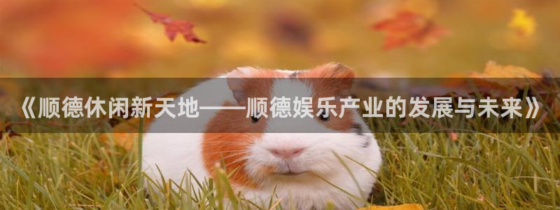 焦点娱乐.com：《顺德休闲新天地——顺德娱乐产业的发展与未来》