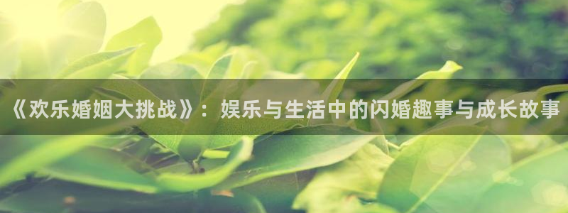焦点娱乐免费注册：《欢乐婚姻大挑战》：娱乐与生活中的闪婚趣事与成长故事