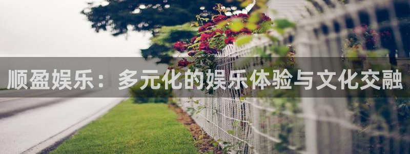 焦点娱乐苹果手机下载链接：顺盈娱乐：多元化的娱乐体验与文化交融